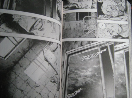 Coq de combat, T20 - Par Tanaka & Ashimoto - Delcourt