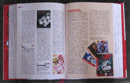 Dans la famille Manga, je demande le Dictionnaire