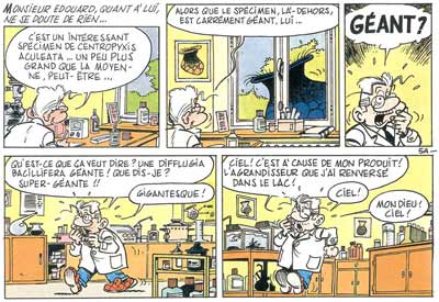 Didier Chardez : "On a vite tendance à cataloguer les auteurs"