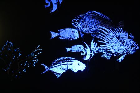 Vu à Colomiers – Jim Curious, de la 3D et des poissons.