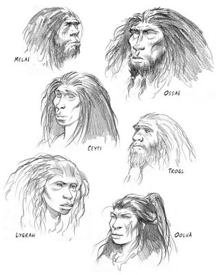 Tribus des mousses-croquis tiré du blog d'Emmanuel Roudier