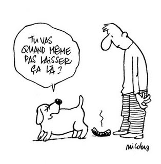 Psikopat n°212 : Cave canem !