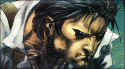 Wolverine : « Les Origines » - Par P. Jenkins, A. Kubert, D. Way & M. Texeira - Panini Comics