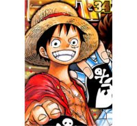 Du Côté du Soleil Levant #2 : 20 ans de "One Piece" !