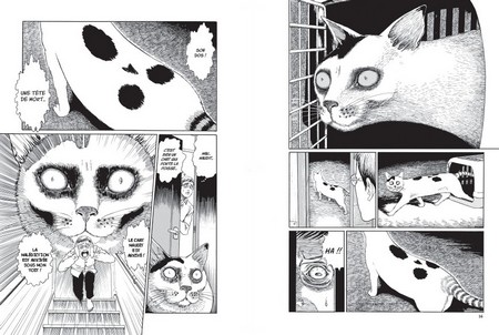 Le Journal des chats de Junji Ito - Par Junji Ito - Tonkam