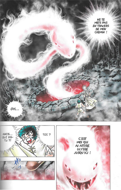 Saint Seiya Next Dimension T. 14 - Par Masami Kurumada - Panini Manga