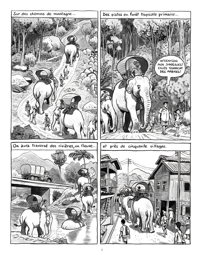 La Longue marche des éléphants - Par Troubs & Dumontheuil-Futuropolis