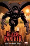 "Black Panther" : un bon moment de cinéma en attendant les Avengers