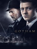 Avec la série TV Gotham, DC vise le leadership sur le petit écran