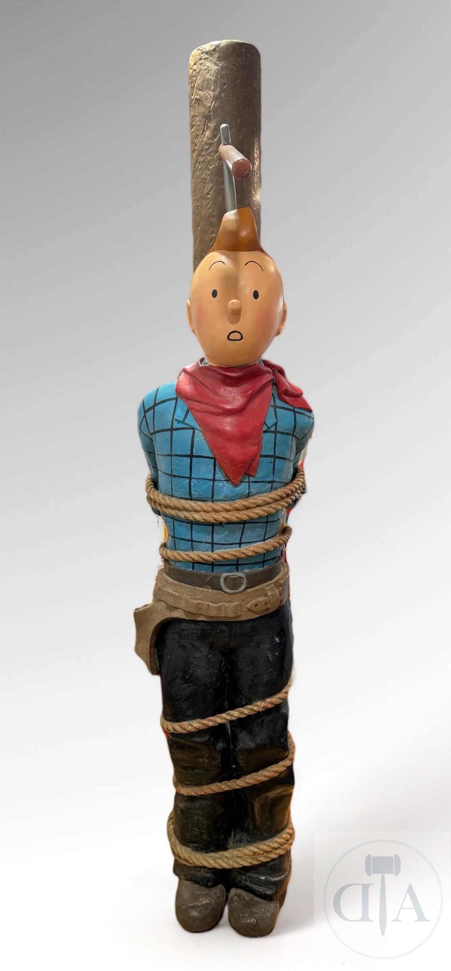 Tintin Collection 111 figurines plus 9 inédites avec les liv | Kaufen