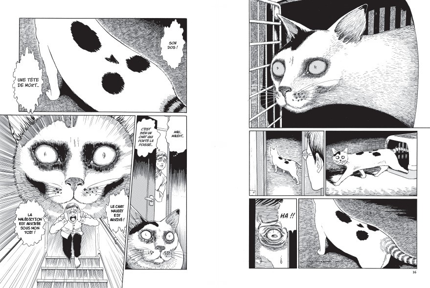 Le Journal Des Chats De Junji Ito