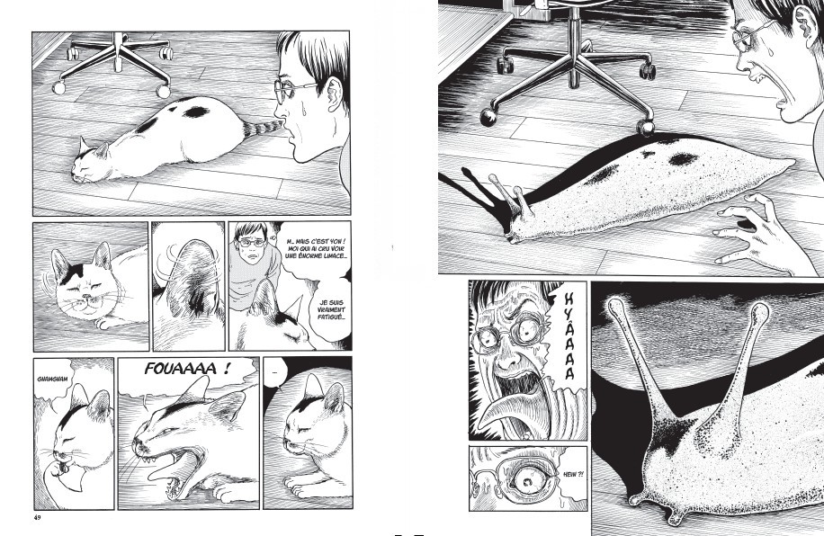 Le Journal des chats de Junji Ito - Par Junji Ito - Tonkam - ActuaBD