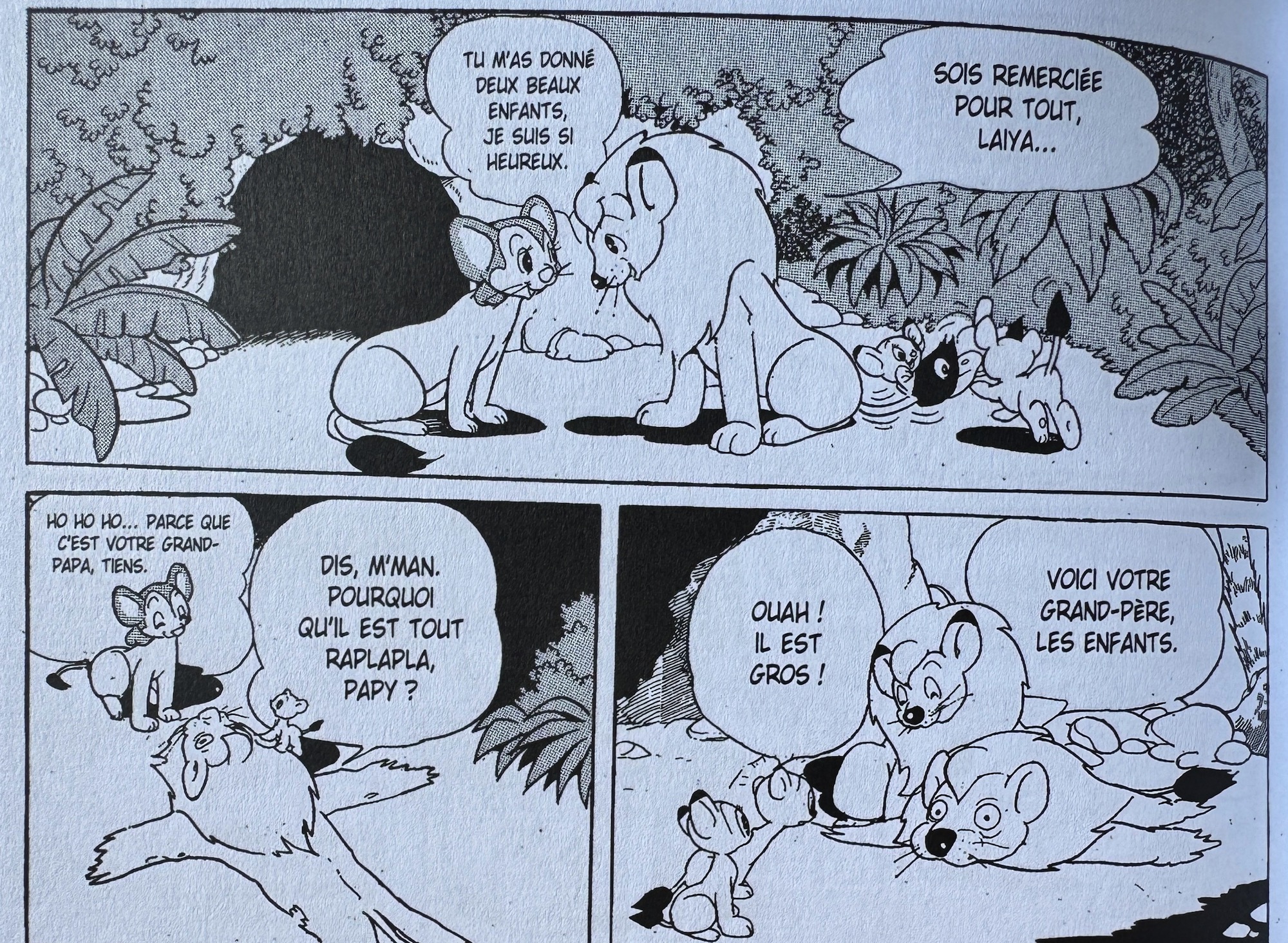 Le Roi L o Edition Prestige Par Osamu Tezuka Delcourt Tonkam ActuaBD le-roi-l-o-edition-prestige-par-osamu-tezuka-delcourt-tonkam-actuabd