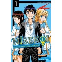 Aperçu de la rentrée manga 2013 – Kazé Manga : entre passé et avenir