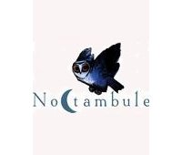 Noctambule, la nouvelle collection littéraire de Soleil