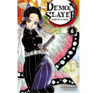 Demon Slayer T. 6 - Par Koyoharu Gotouge - Panini Manga