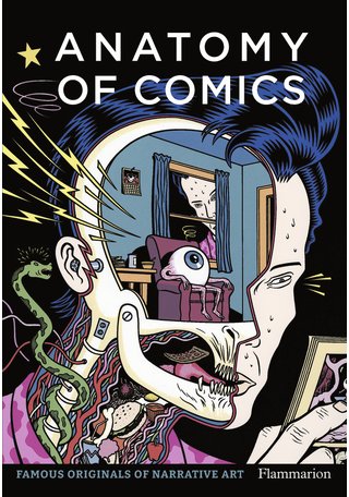Anatomy of Comics - par Damien Macdonald - Flammarion