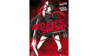 Red Eyes Sword : clap de fin d'un classique du « dark-shônen »