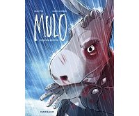 Mulo, le polar breton à la sauce "Mulet"