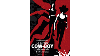 Le dernier cow-Boy raisonnable & autres histoires - Par Daniel Merlin Goodbrey - Actes Sud/l'AN 2