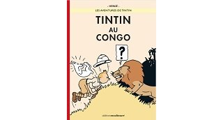 Kalvin Soiresse (collectif Mémoire Coloniale) : "Critiquer Tintin au Congo doit permettre d'aborder, de manière apaisée, la question de la colonisation"