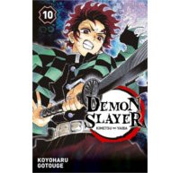Demon Slayer T. 10 - Par Koyoharu Gotouge - Panini Manga