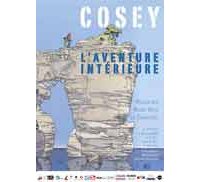 COSEY, L'AVENTURE INTERIEURE - Une exposition rétrospective