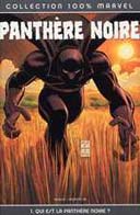 Panthère Noire - Reginald Hudlin & John Romita Jr - 100% Marvel