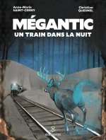 Mégantic, un train dans la nuit – Par Anne-Marie Saint-Cerny et Christian Quesnel – Écosociété