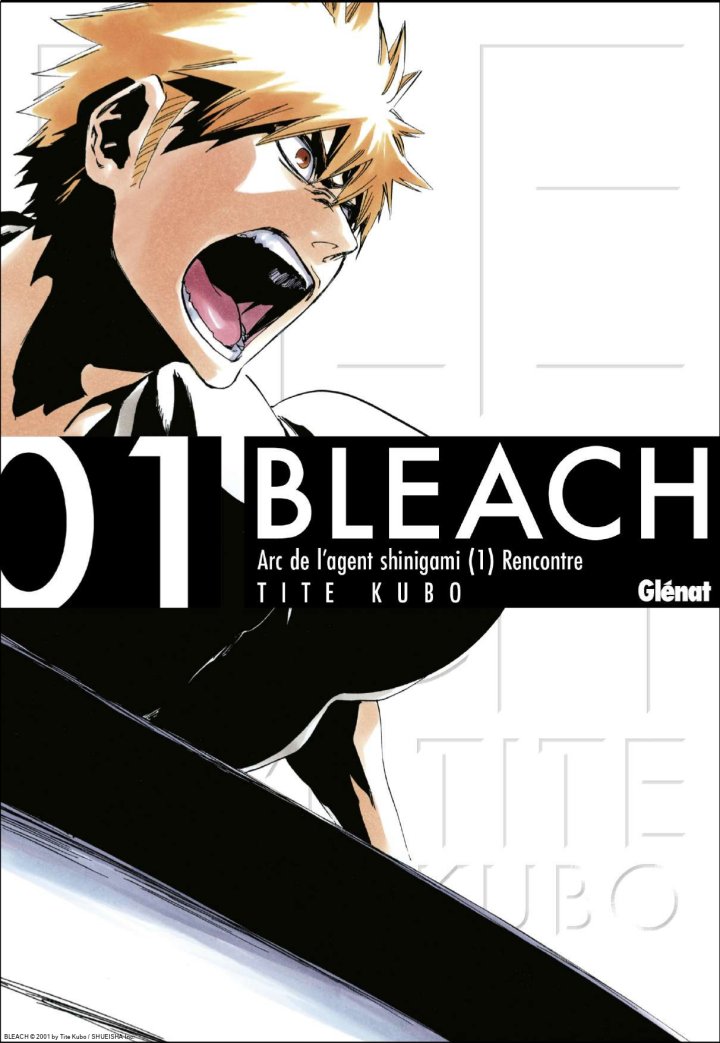 Couverture de Bleach
