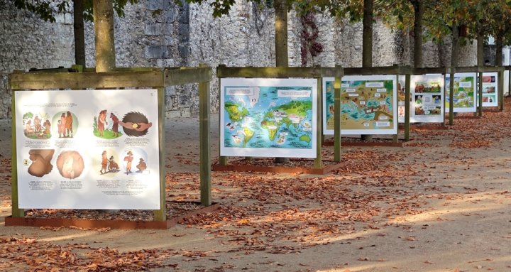 La BD au festival des Rendez-vous de l’histoire de Blois - ActuaBD