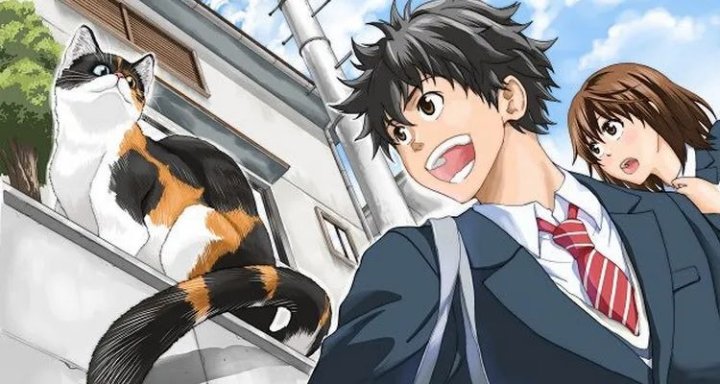 Félin pour l’autre - Par Wataru Nadatani - Doki Doki. La fin d’une