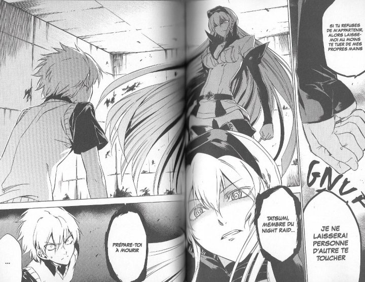 Red Eyes Sword \ Akame ga Kill T11 - Par Takahiro & Tetsuya (...) - ActuaBD